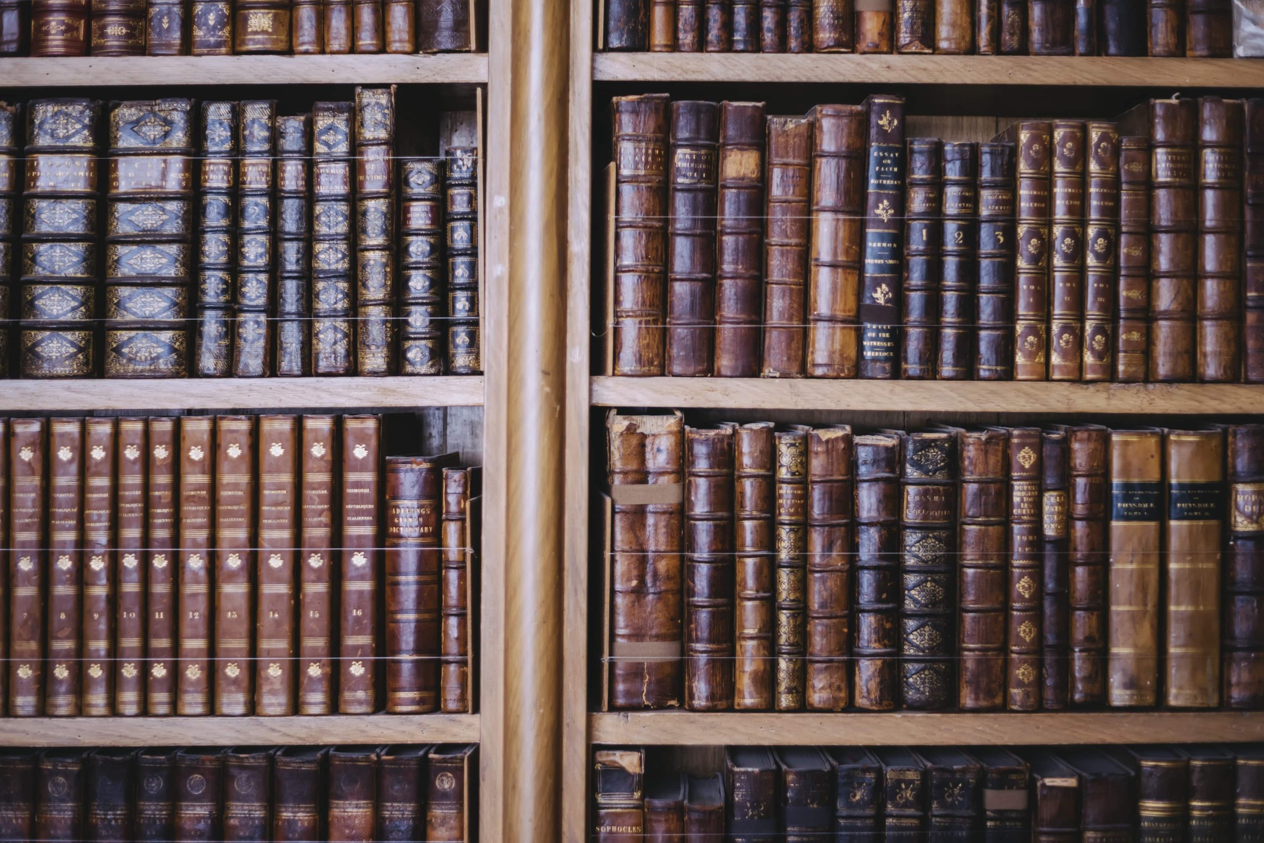 Bibliothek